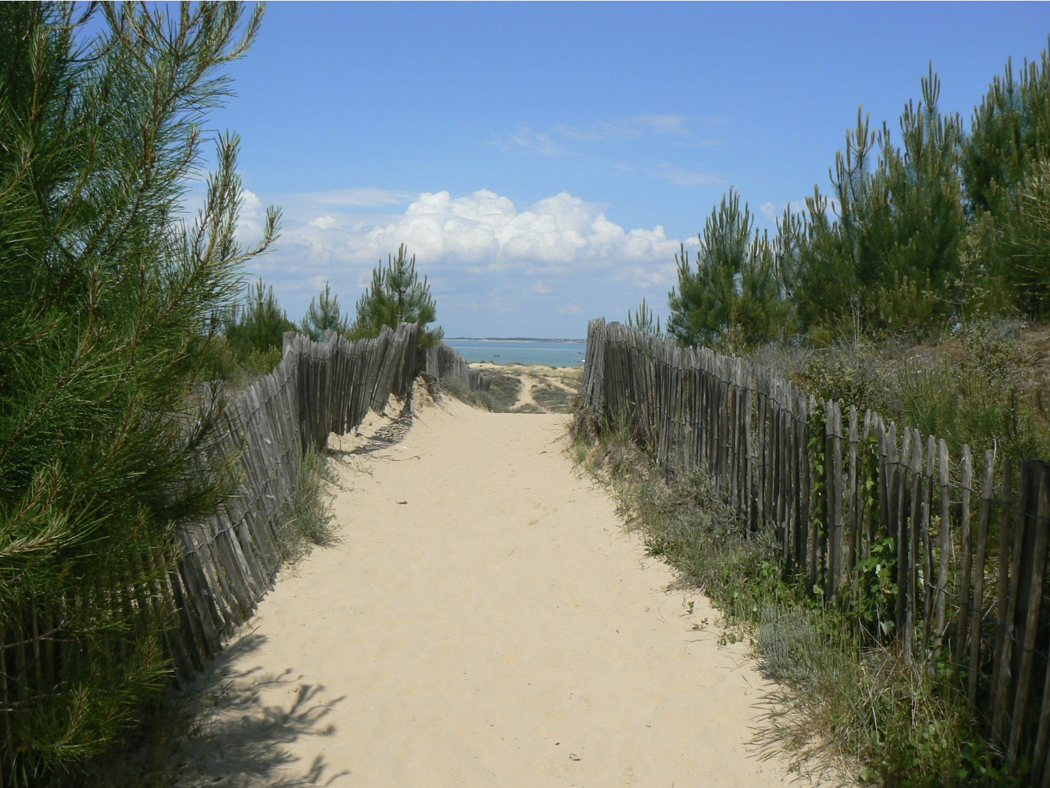 Plage de Saint-Trojan île d'Oléron